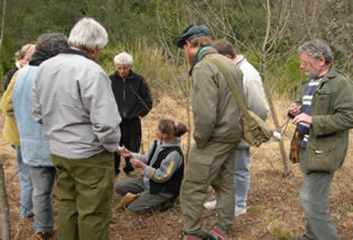 stage greffe 2005